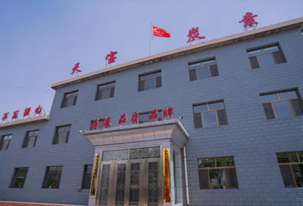 Ningxia Tianbao Carbon Co., Ltd.